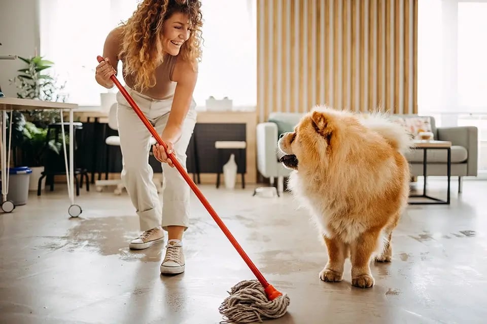 Huishoudelijke hulp vrouw dweilen hond